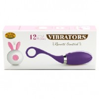 Remote Control 12 Speeds Rechargeable Silicone Vibrating Egg PURPLE